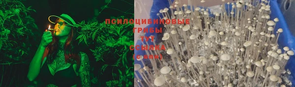 стафф Гусиноозёрск