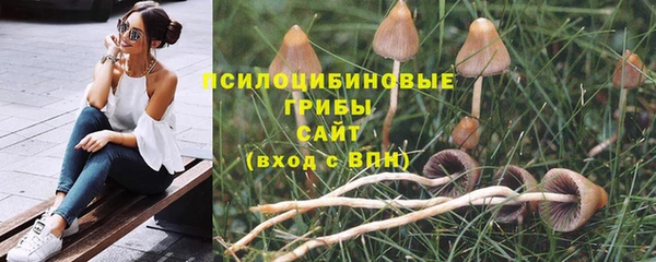стафф Гусиноозёрск