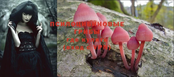 mdma Дмитров