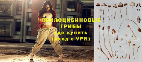 каннабис Гусев