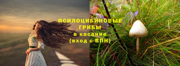 mdma Дмитров