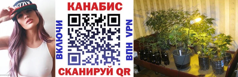 Шишки марихуана White Widow Великий Устюг